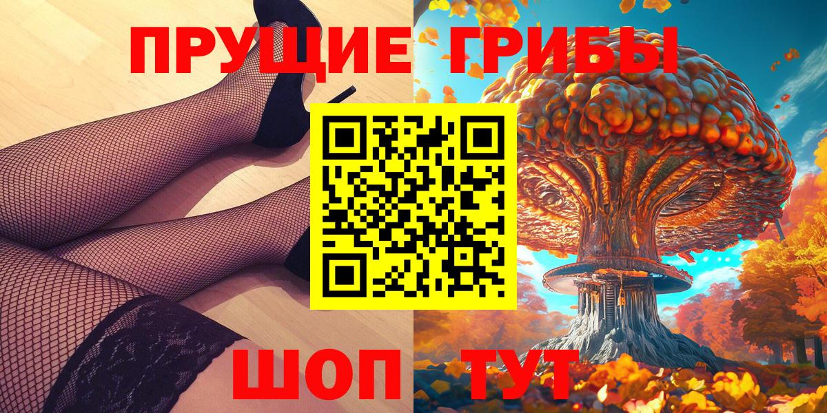 Камышин  Псилоцибиновые грибы Psilocybe  Вход с VPN  Псилоцибиновые грибы Psilocybe 